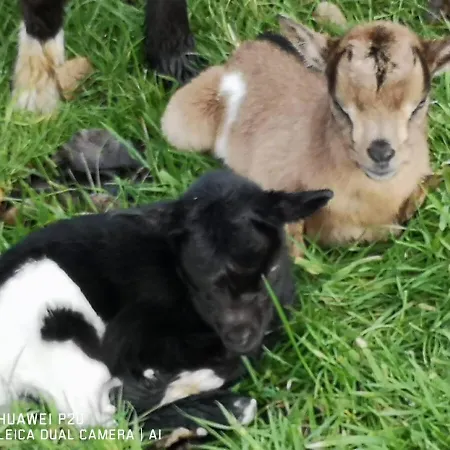 Du Paradis Normand *