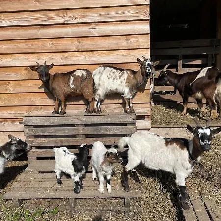 Du Paradis Normand Апартаменты Courtonne-la-Meurdrac