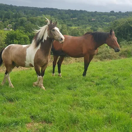 Апартаменты Du Paradis Normand Courtonne-la-Meurdrac