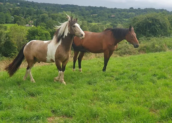 Du Paradis Normand Lejlighed Courtonne-la-Meurdrac