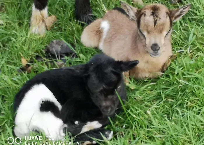 Du Paradis Normand *