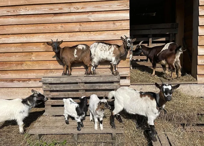 Du Paradis Normand Lejlighed Courtonne-la-Meurdrac