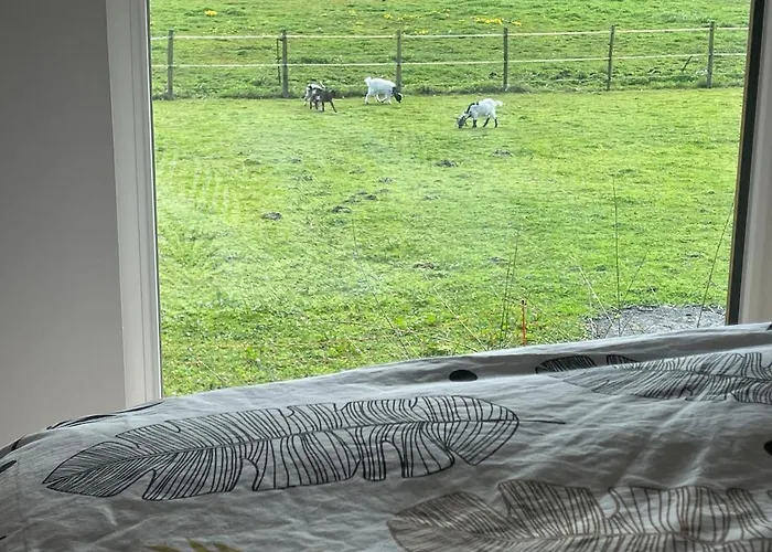 Daire Du Paradis Normand *